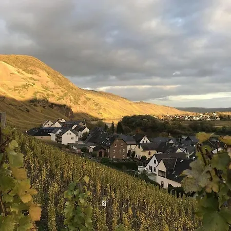 Uitzicht Op De Moezel In Hébergement de vacances